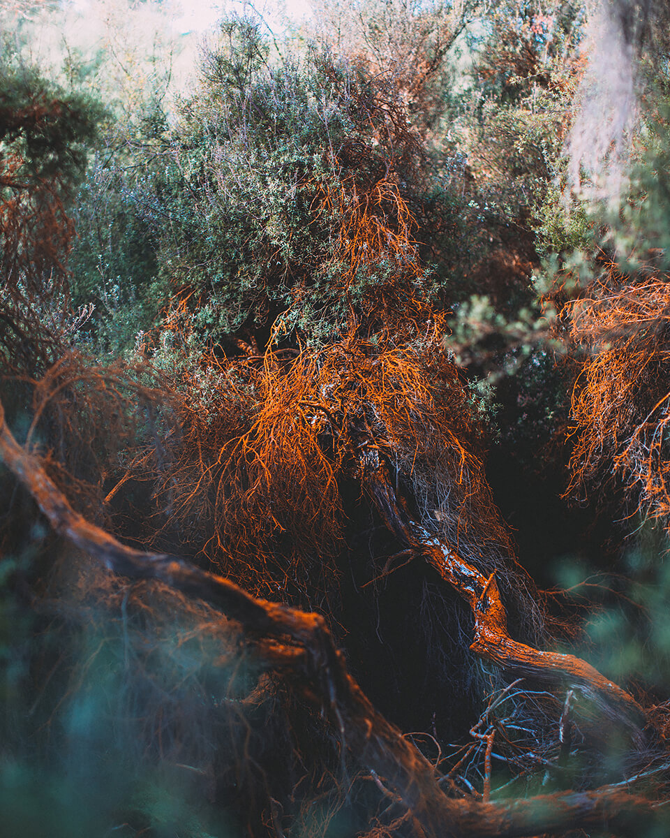 <p>© Chiara Zonca</p>