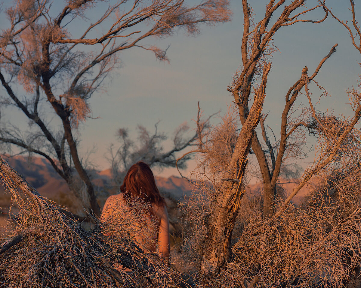 <p>© Chiara Zonca</p>