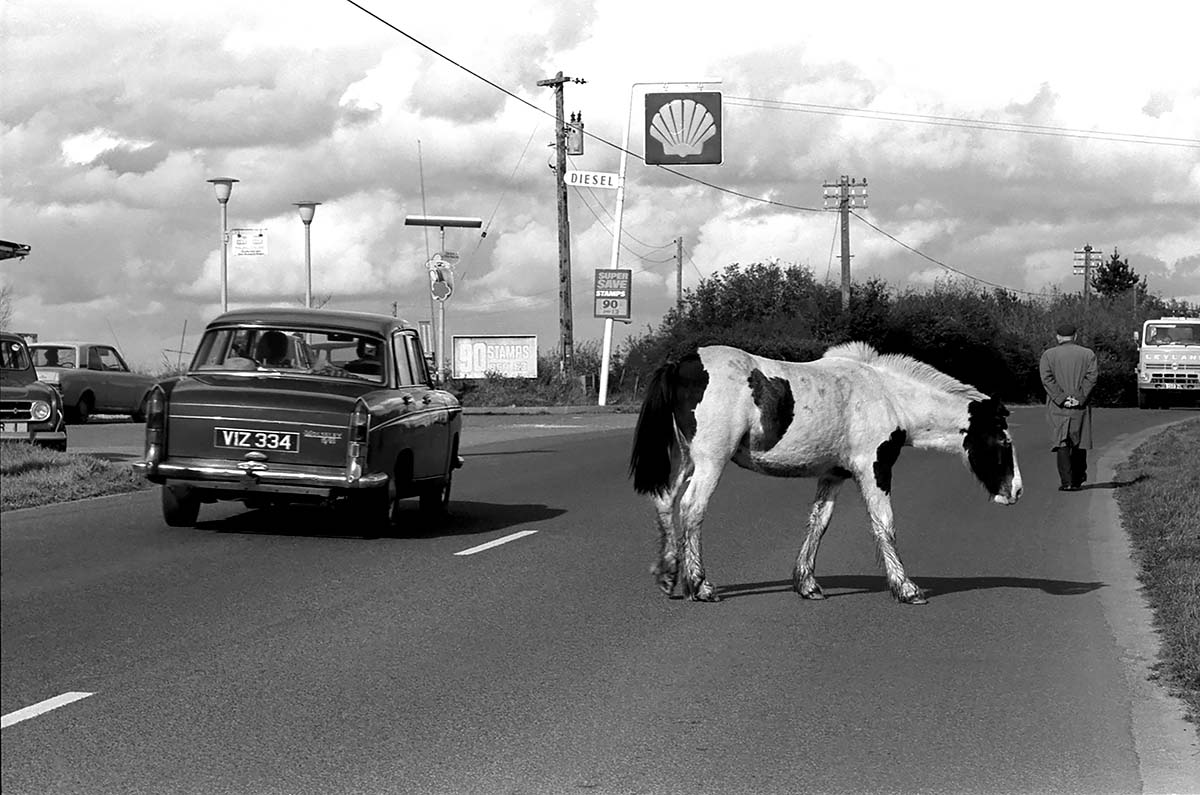 On the Road<p>© Laura Jean Zito</p>