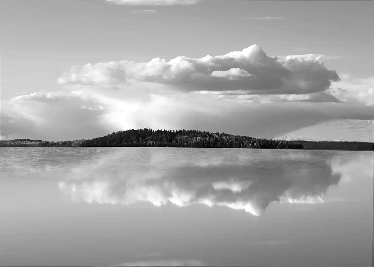 <p>&copy; Oksana Zhila</p>