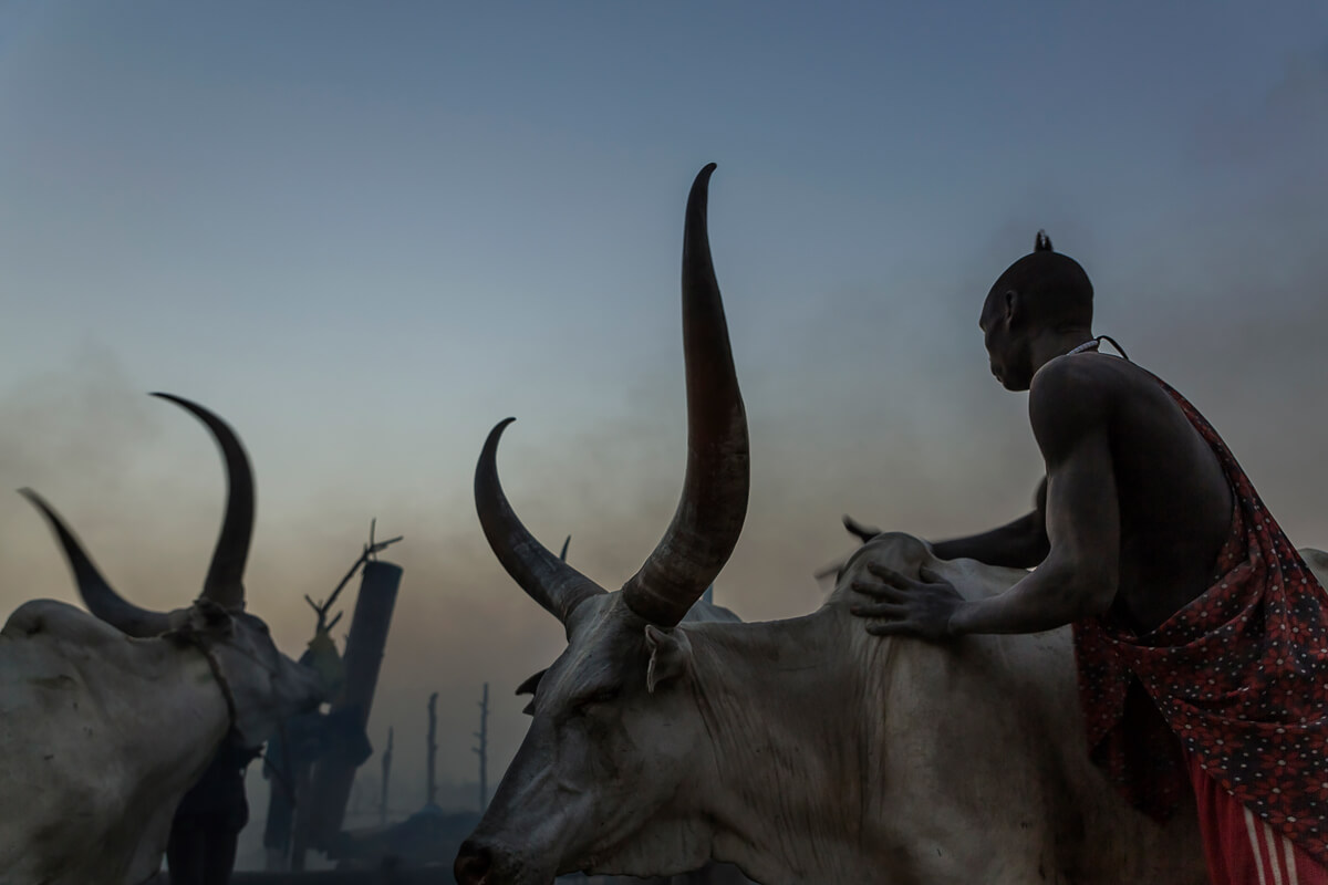 Mundari, South Sudan<p>© Tariq Zaidi</p>