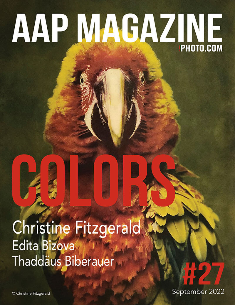 AAP Magazine #27: Colors