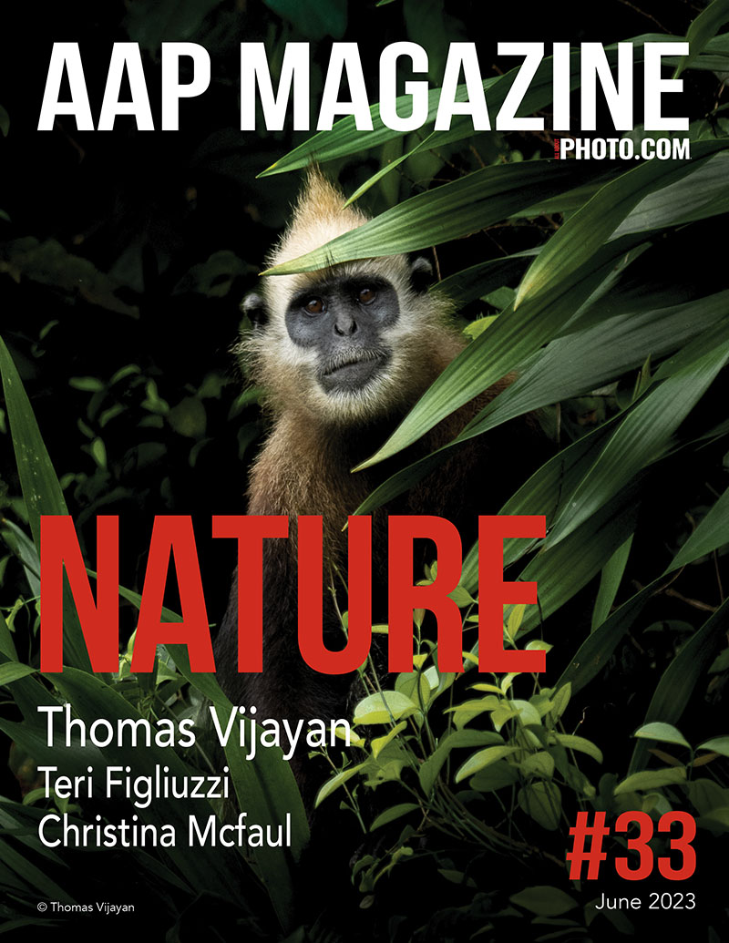 AAP Magazine #33: Nature