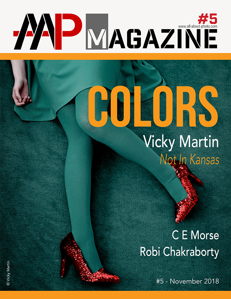 AAP Magazine #5: COLORS