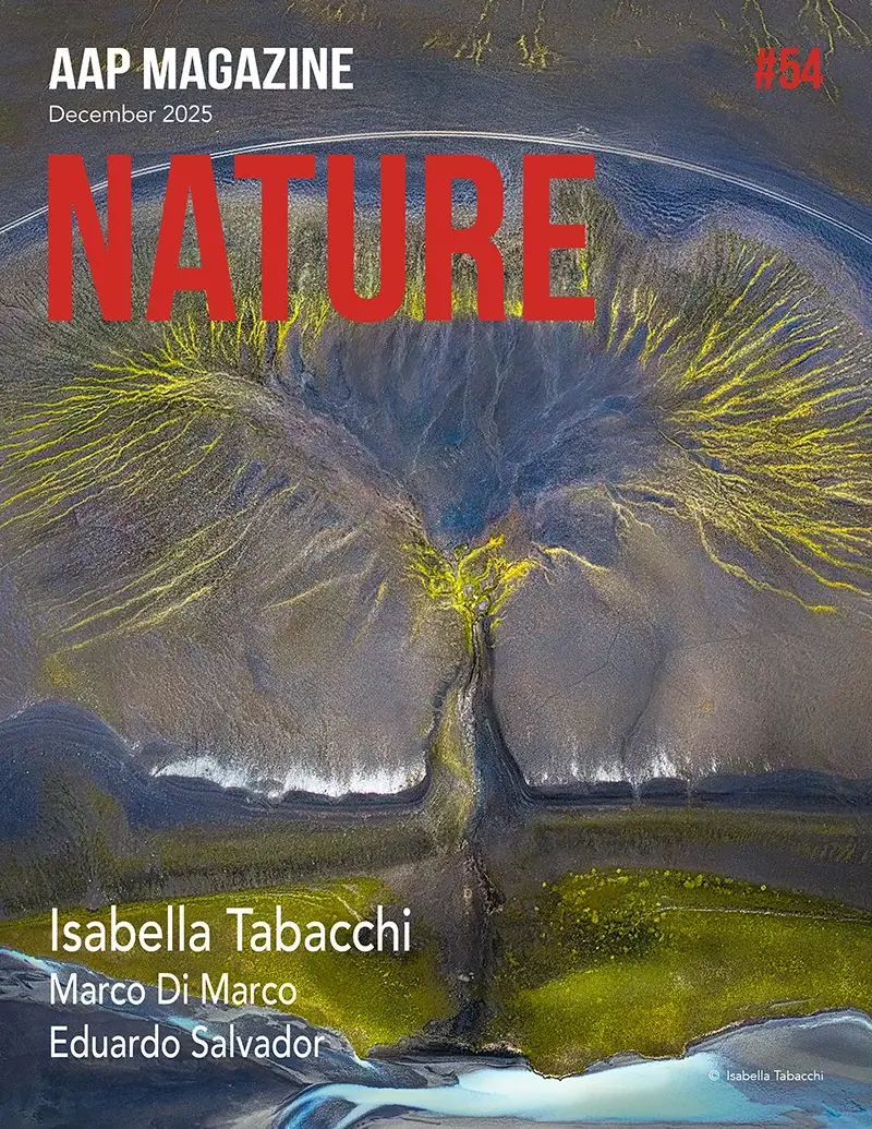 Our printed edition showcases the winners of AAP Magazine call of entries