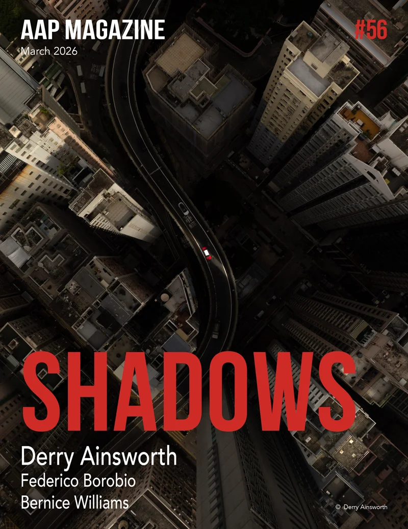 Our printed edition showcases the winners of AAP Magazine call of entries