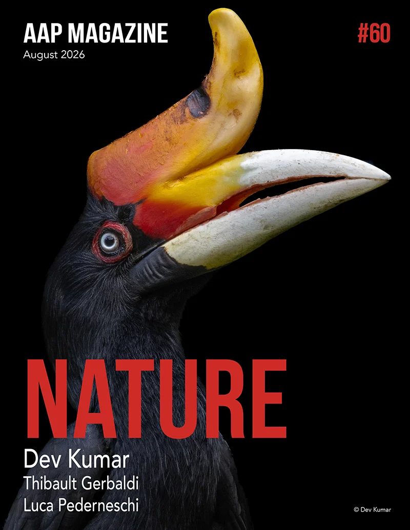 Our printed edition showcases the winners of AAP Magazine call of entries