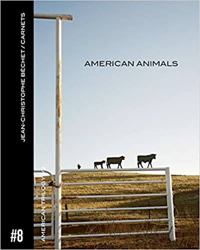 American Animals