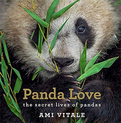 Panda Love: The Secret Lives of Pandas