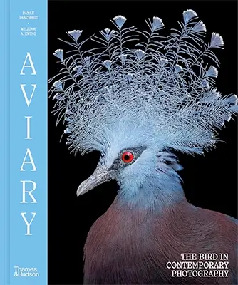 Aviary: The Bird in Contemporary Photography