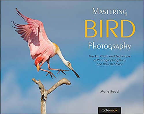 Mastering Bird Photography