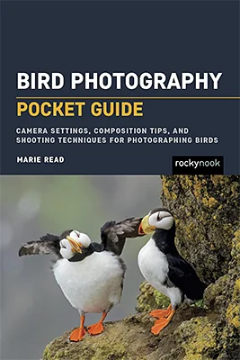 Bird Photography: Pocket Guide