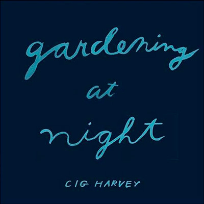 Gardening at Night