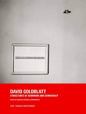 David Goldblatt: Structures of Dominion and Democracy