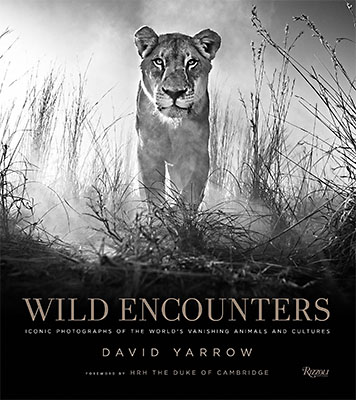 Wild Encounters