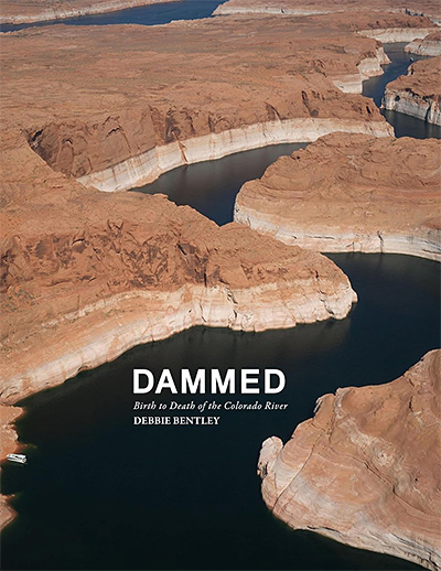 Debbie Bentley: Dammed