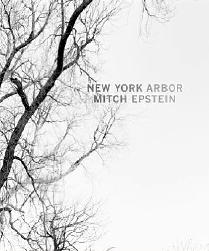 Mitch Epstein: New York Arbor