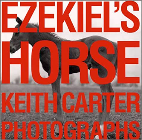 Ezekiel’s Horse