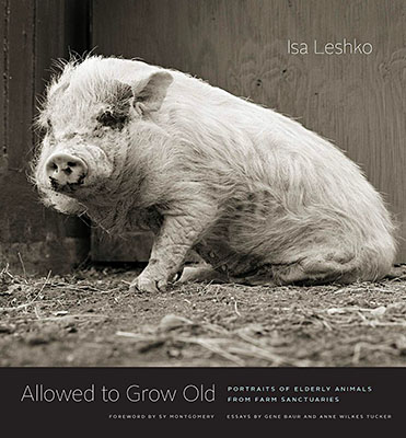 Isa Leshko: Allowed to Grow Old