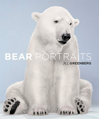 Jill Greenberg: Bear Portraits
