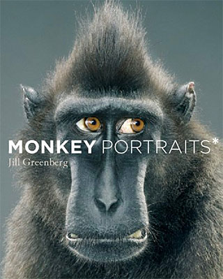 Monkey Portraits