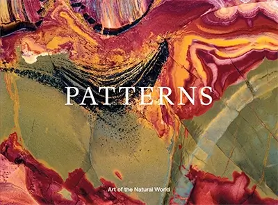 Jon McCormack: Patterns: Art of the Natural World