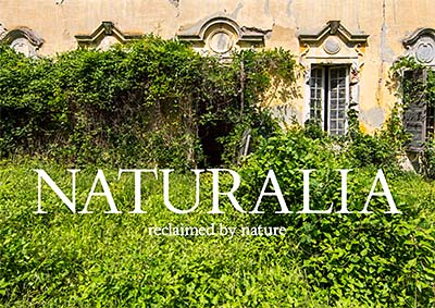 Naturalia: Reclamed by Nature