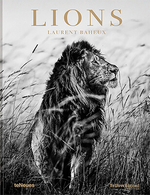 Laurent Baheux: Lions