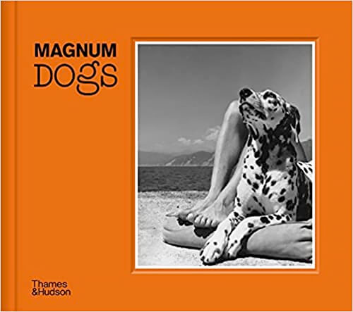 Magnum Dogs