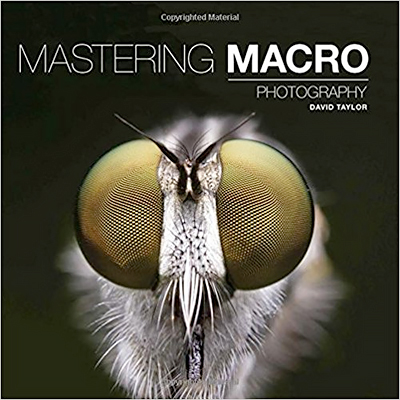 Mastering Macro Photography