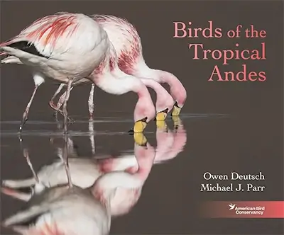 Owen Deutsch: Birds of the Tropical Andes