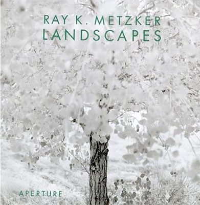 Ray K. Metzker: Landscapes