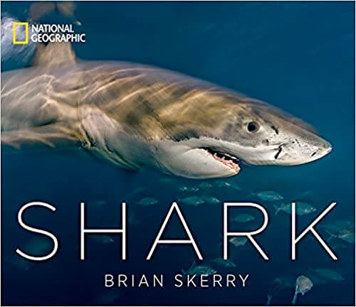 National Geographic: Shark