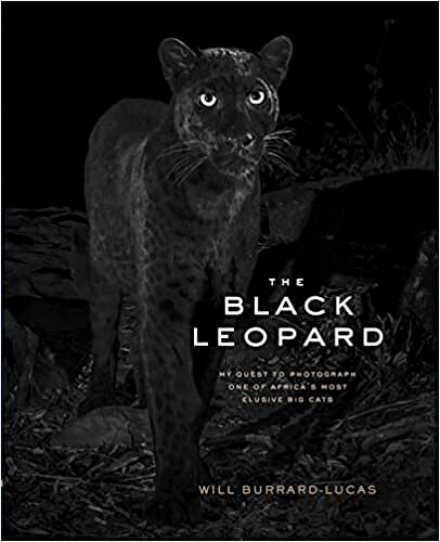 The Black Leopard