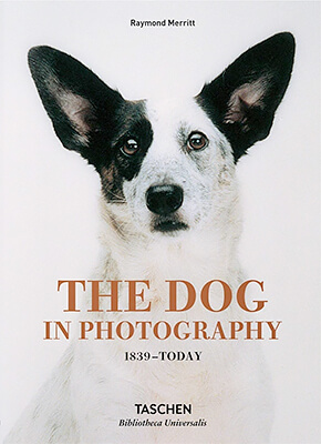 The Dog in Photography 1839-today