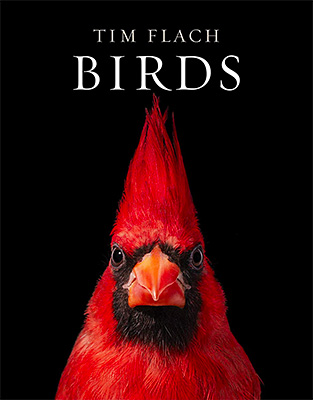 Tim Flach: Birds