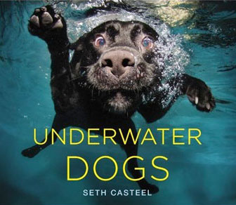 Underwater Dogs